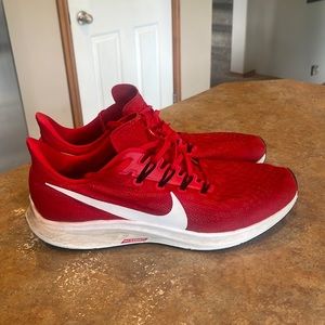Men’s Nike zoom Pegasus size 13